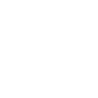 Van icon